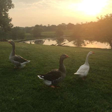 The B & B At Queenslake Midway 外观 照片
