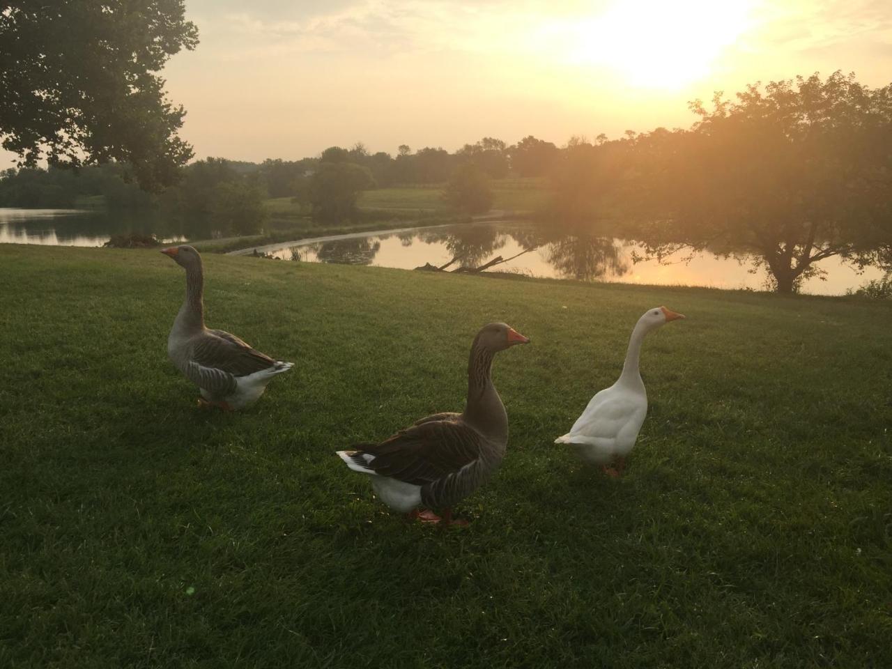 The B & B At Queenslake Midway 外观 照片